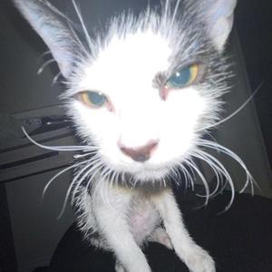 next week (Explicit)