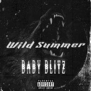 Wild Summer (Explicit)