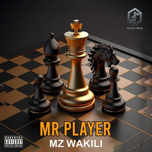 Mr Player (Explicit)