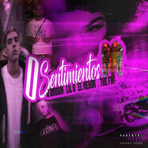 O SENTIMIENTOS