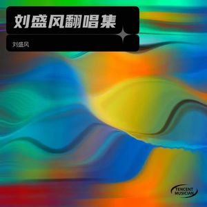 报答一生 - 刘盛风封面