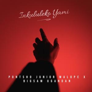Inkululeko Yami(feat. Pontsho Junior Malope & Bigsam Ugandan)