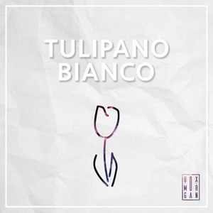 Tulipano bianco