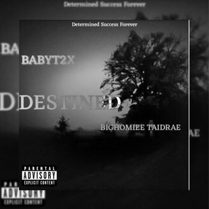 Destined (feat. BabyT2x) (Explicit)