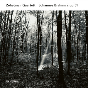 String Quartet No. 1 in C Minor, Op. 51 No. 1 - Brahms: String Quartet No. 1 in C Minor, Op. 51 No. 1: II. Romanze. Poco adagio