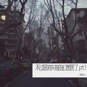 幻想时刻 (Live)