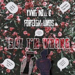 Say I'm Wrong (Explicit)