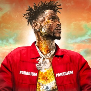 Paradigm (Explicit)