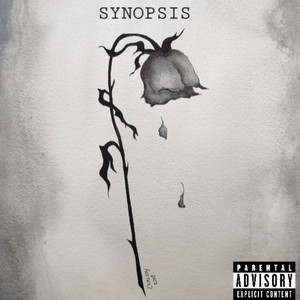 Synopsis (Explicit)