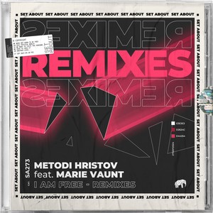 I Am Free (David Phoenix Remix)