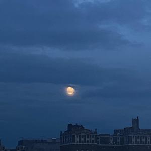 #zentorno# (Explicit)