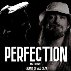 Perfection (All-Sky Remix)