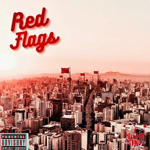 Red Flags (Explicit)