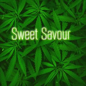 Rare Moment (feat. Annapantsu & Caleb Hyles) (Explicit)