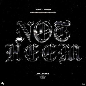 Not Heem (feat. Dripoline) [Explicit]