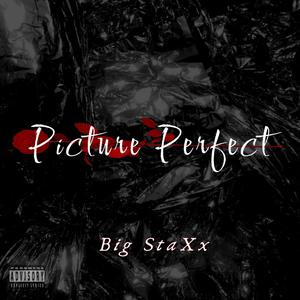 Picture Perfect (Explicit)