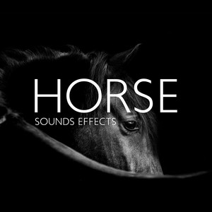 Horse Sounds Effects (Galloping, ASMR Horse Sounds Stress Relief, Race Horse)