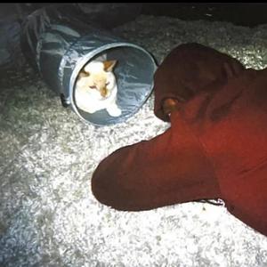 Hermosa (feat. K3addys) (Remastered|Explicit)