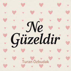 Ne Güzeldir (feat. Turan Özbudak)