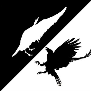 Teszi a Belét (Explicit)