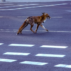 Mine (feat. Dirt Reynolds) (Explicit)