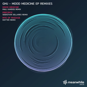 Mood Medicine (Paul Kardos Remix)