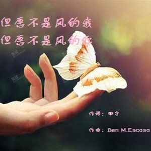 但愿不是风的我，但愿不是风的你 (伴奏)