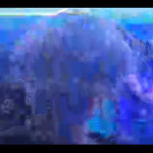 Decembers (Explicit)