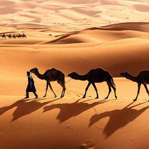 Silk Road