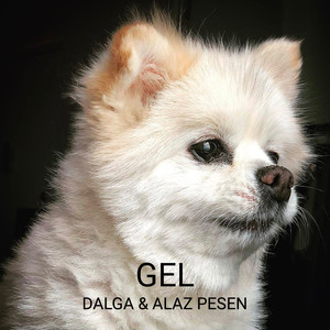 Gel