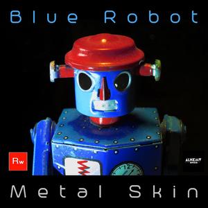 Metal Skin