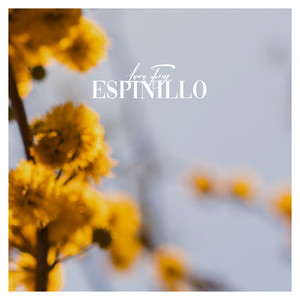 Espinillo