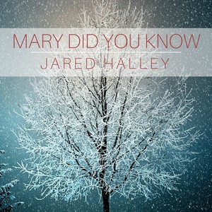 Mary Did You Know