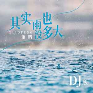 其实雨也没多大 (DJ版伴奏)