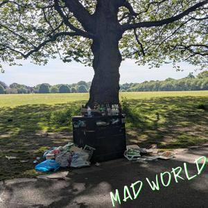 Mad World