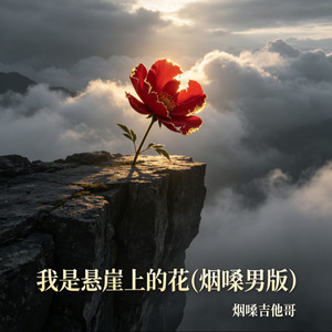 我是悬崖上的花-烟嗓吉他哥