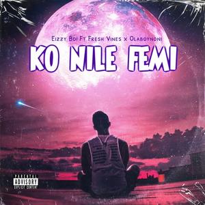 KO NILE FEMI