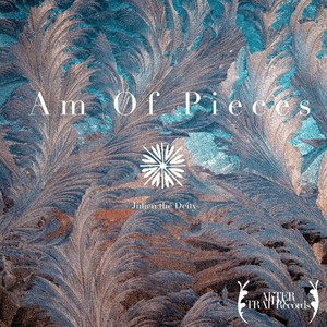 Am of Pieces