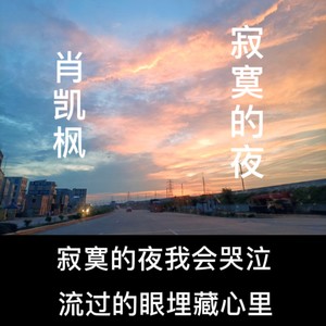 寂寞的夜