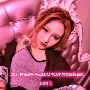 2020越南酒吧极品EDM中场电鼓重低音串烧 (DJ版)