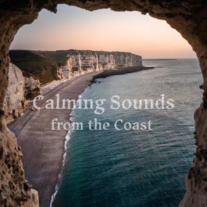 Calming Sounds from the Coast