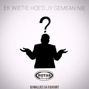 Ek wietie hoe'd jy gemean nie (feat. DJ Wallies SA & DJ Kurt)