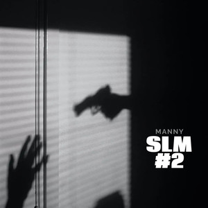 Slm #2