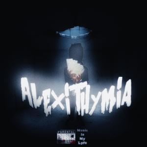 Unfindable (feat. malislyme) (Explicit)