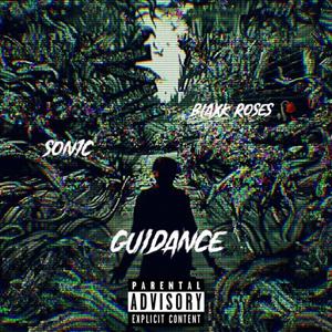 Guidance (Explicit)