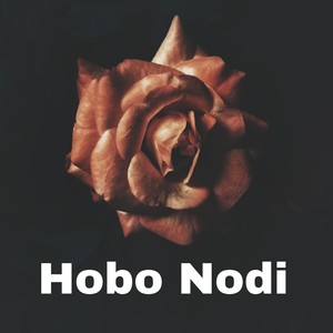 Hobo Nodi