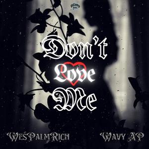 Don't Love Me (feat. Wavy AP)