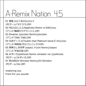 A-Remix Nation 4.5