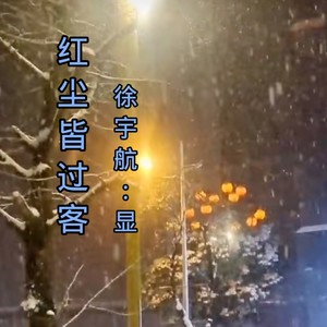红尘皆过客 (Live)