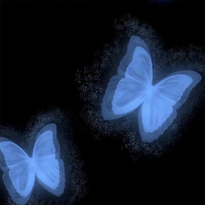 无法飞翔的翅膀还有意义吗